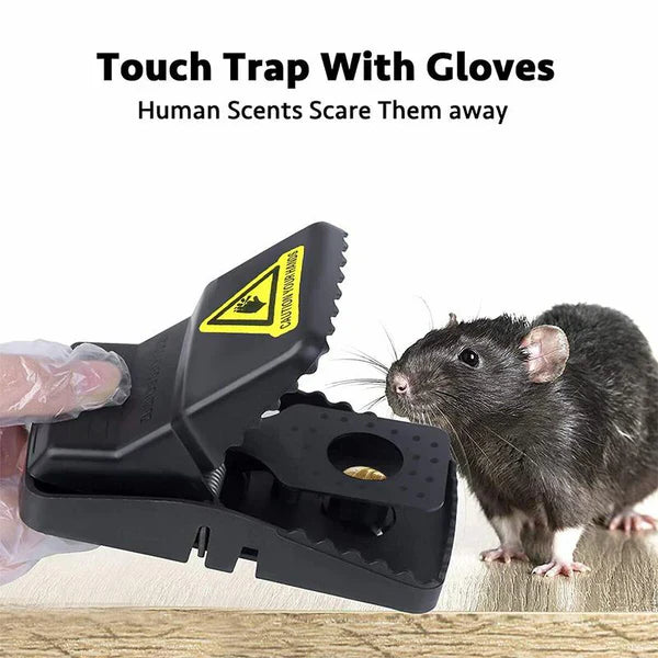 Mouse Trap